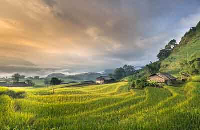 農村學校藝術教育研究