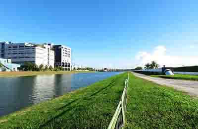 企業涉及的法律問題