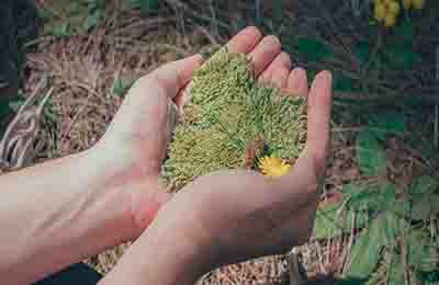 環(huán)境資源法論文