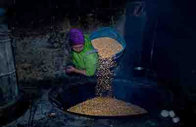 勞動教育課程的重要性