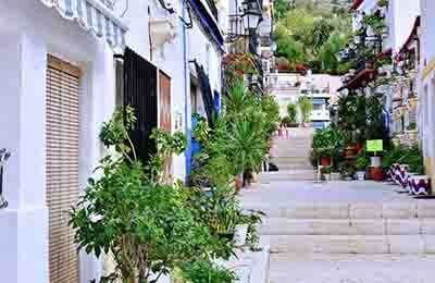 城鎮綠化建設與管理