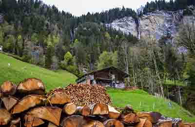 林業循環經濟的主要優點