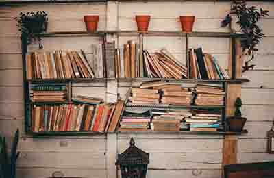 圖書專業(yè)論文