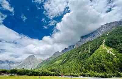 低碳經濟林業探索