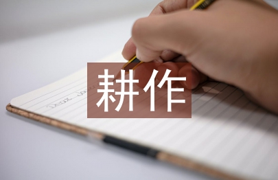 促進(jìn)保護(hù)性耕作技術(shù)運(yùn)用研究