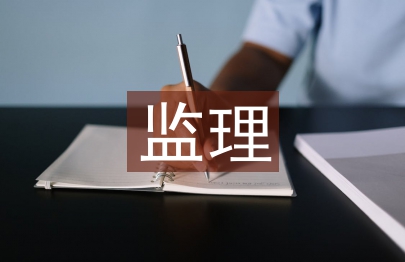 監理資料管理淺議