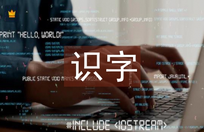 小學語文識字教學研究