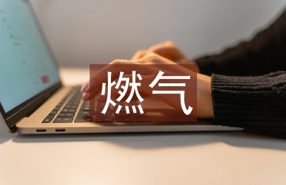 燃?xì)獍踩芾斫ㄗh