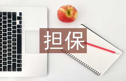 擔(dān)保申報(bào)材料