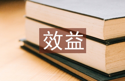 效益管理論文
