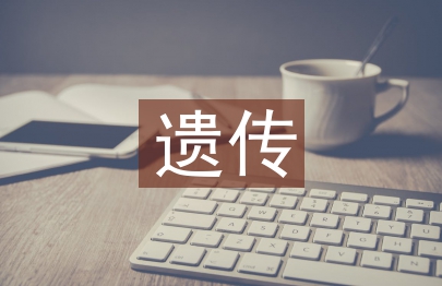 非遺傳承面臨的問題如何解決