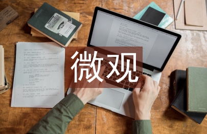 微觀經濟學論文