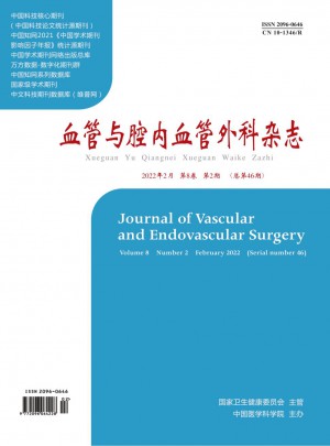 血管與腔內血管外科