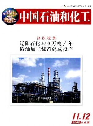 中國(guó)石油和化工·企業(yè)版